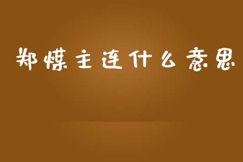 郑煤主连什么意思_https://wap.jnbaishite.cn_期货资讯_第1张