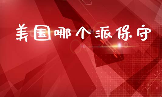 美国哪个派保守_https://wap.jnbaishite.cn_理财投资_第1张