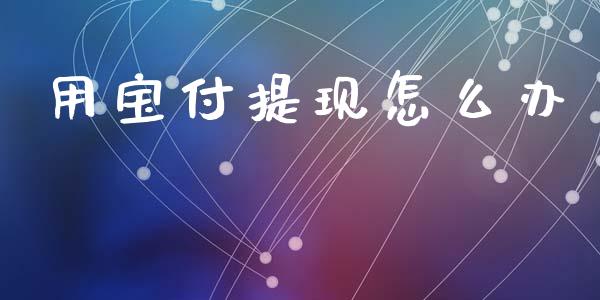 用宝付提现怎么办_https://wap.jnbaishite.cn_全球财富_第1张
