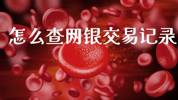 怎么查网银交易记录_https://wap.jnbaishite.cn_期货资讯_第1张
