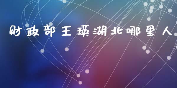 财政部王瑛湖北哪里人_https://wap.jnbaishite.cn_理财投资_第1张