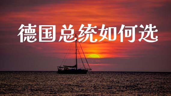 德国总统如何选_https://wap.jnbaishite.cn_金融资讯_第1张
