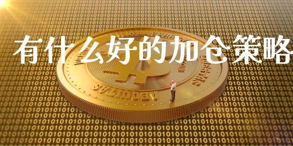 有什么好的加仓策略_https://wap.jnbaishite.cn_理财投资_第1张
