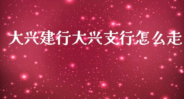 大兴建行大兴支行怎么走_https://wap.jnbaishite.cn_金融资讯_第1张