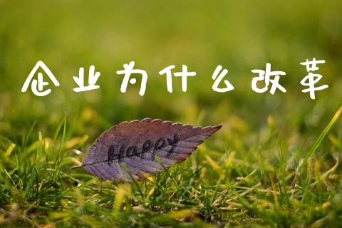 企业为什么改革_https://wap.jnbaishite.cn_金融资讯_第1张