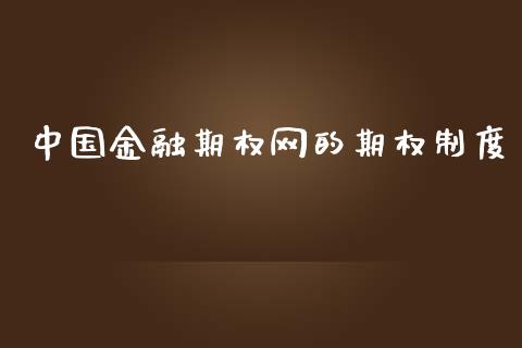 中国金融期权网的期权制度_https://wap.jnbaishite.cn_金融资讯_第1张