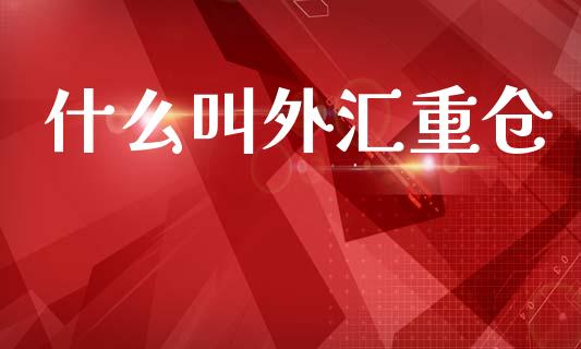什么叫外汇重仓_https://wap.jnbaishite.cn_全球财富_第1张
