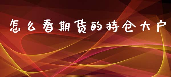 怎么看期货的持仓大户_https://wap.jnbaishite.cn_金融资讯_第1张